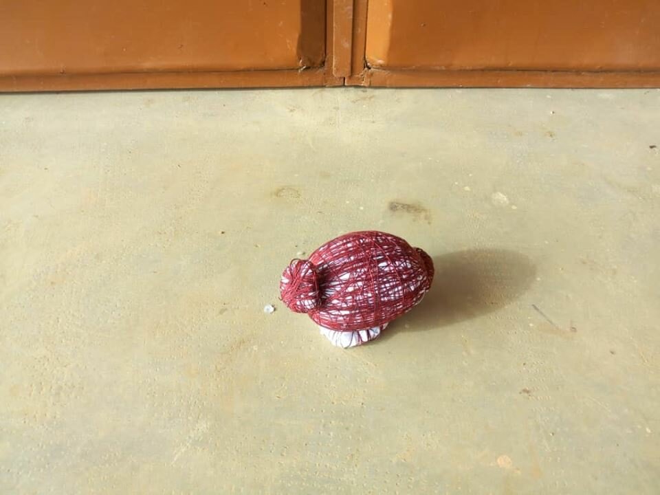 Tchad : Un marabout abattu de 3 balles