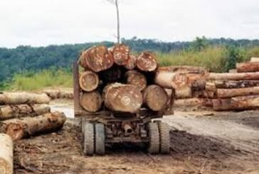 Côte d'Ivoire: A Yopougon, un employé broyé par des billes de bois détachées d'un camion
